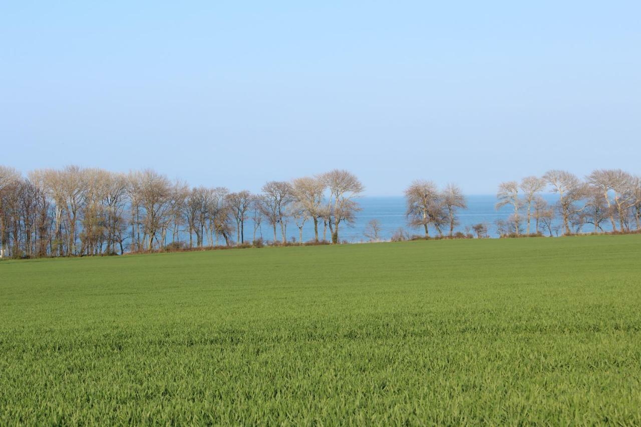 Ferienwohnungen Am Museumshof Fehmarn Luaran gambar